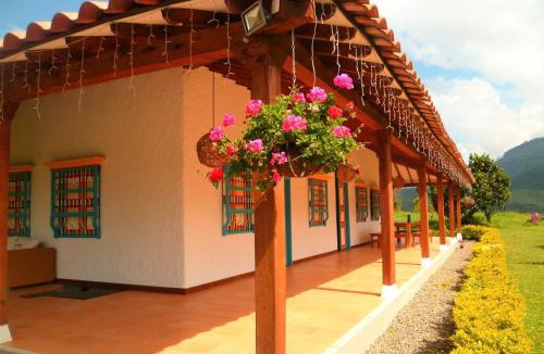 Jardin House | Patio Bonito