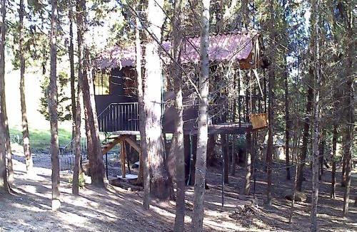Pesca House | Despierta En El Árbol Desayuno Americano a tu ritmo somos Petfriendly