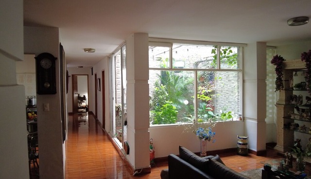 Nora's Laureles
