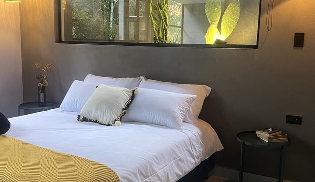 apartasuite con vista al bosque
