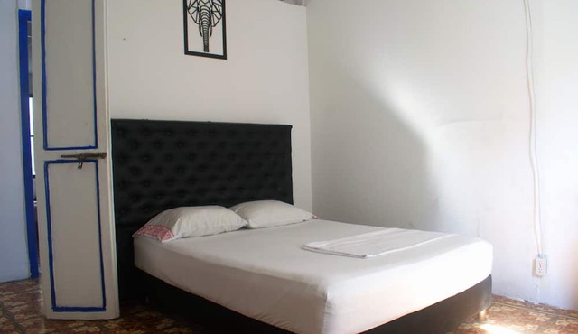 MANGO TREE HOSTEL 4 20