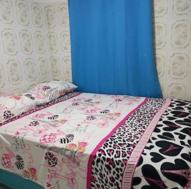 hostal alison