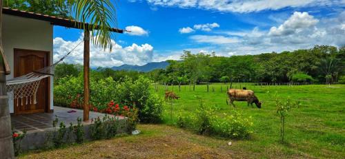 finca el porvenir
