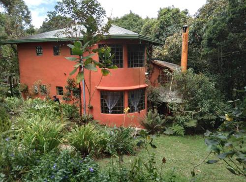 House for 10 in an oak forest Santa Elena in Santa Elena