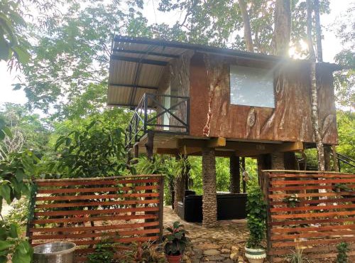 casa en el arbol aguazul in Aguazul