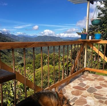 La TOLVA Café & experiencia