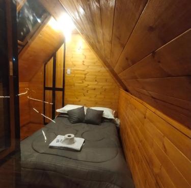 Cabañas tipo glamping