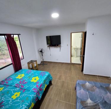 Finca hotel los cocos in Montenegro