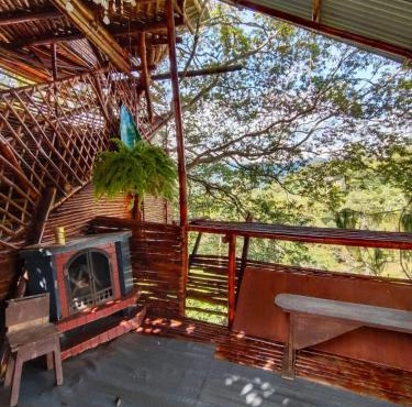 Hospedaje casa en el Árbol