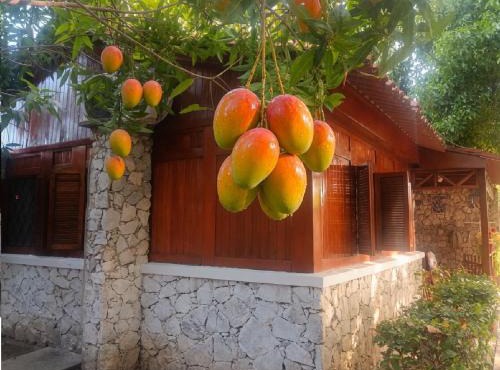 Cabaña Parejas y Familias Condominio Campestre cerca Rodadero con Piscinas in Santa Marta