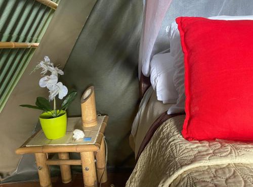 Glamping El Árbol en la Casa