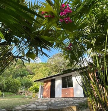 La fortuna ecoglamping in Girón