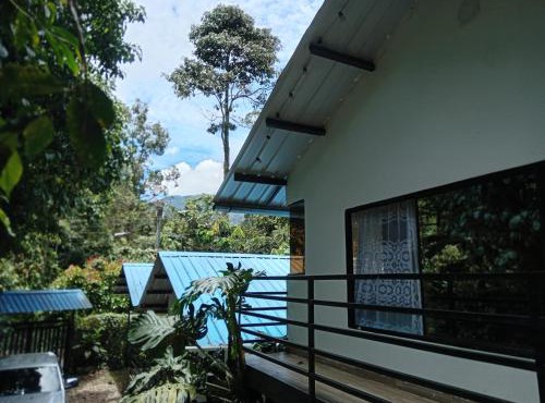 Cabañas Bosque Encanto - Jacuzzi