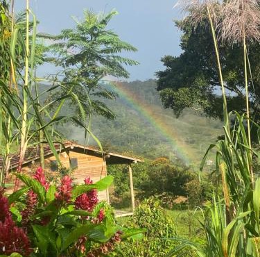 Camelia Hostel