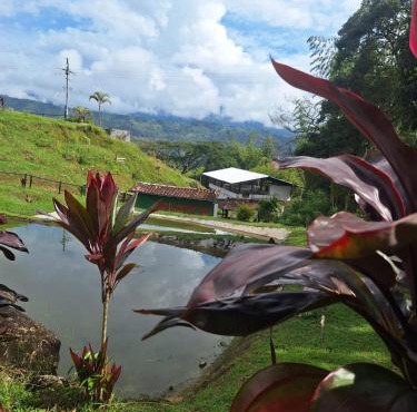 Ecohotel Los Cedros