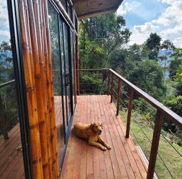 Chiraco cabins native jungle