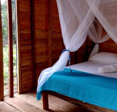 Manglar Eco Resort