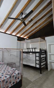 Indigo Palomino Beautiful House