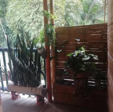 Hostal El Bambú in Inzá
