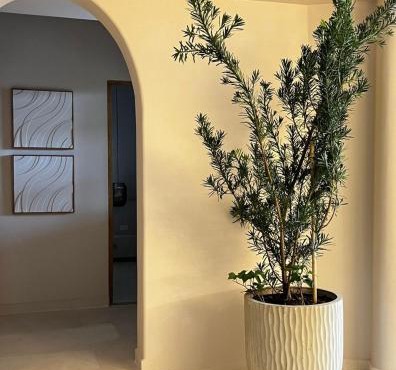 Macondo House Private Heated Pool