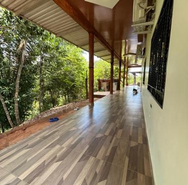 Finca las palmas