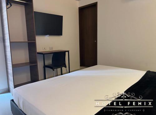 Hotel Fenix