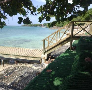 Eco Hotel Las Palmeras