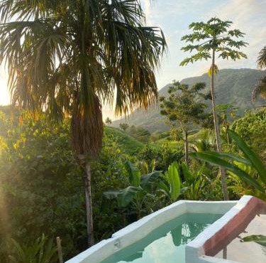 The Valley Tayrona hostel- A social jungle hostel