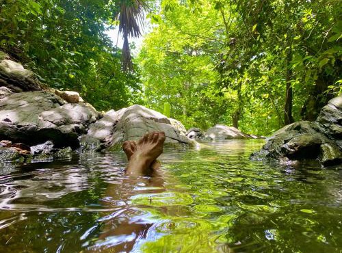 Canto Tayrona Ecolodges