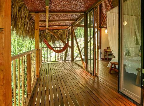 Cabin Nestled in Bamboo Forest