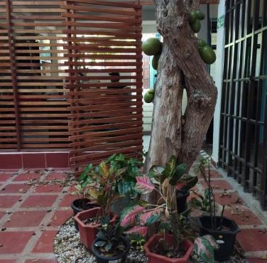 taganga macabi hostel