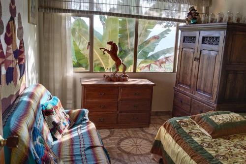Casa en el aire, Finca el paraiso