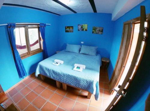 Finca Momota Salento