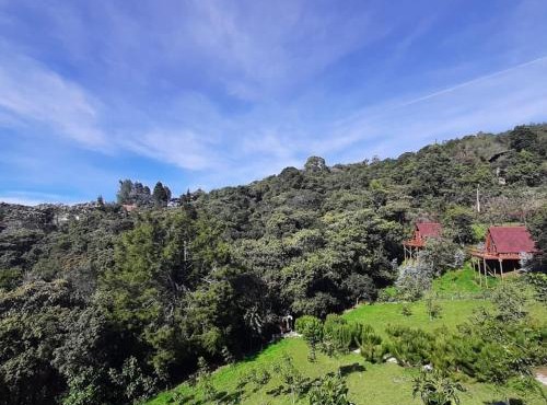 Chalets en Santa Elena en medio del Bosque