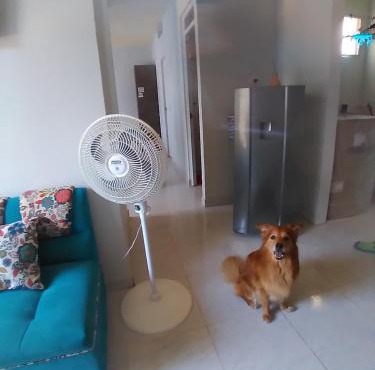 Apartamento Ricaurte - KASSANJA in Ricaurte