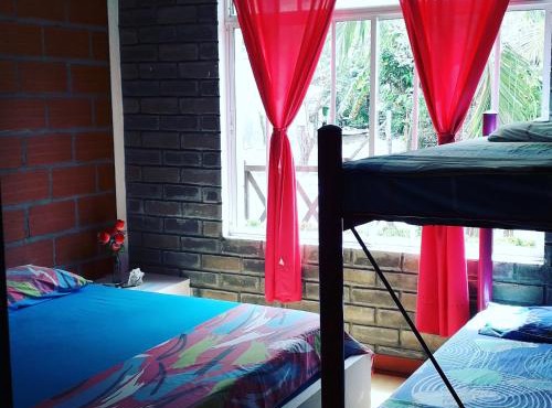 Monkey Afro Hostel