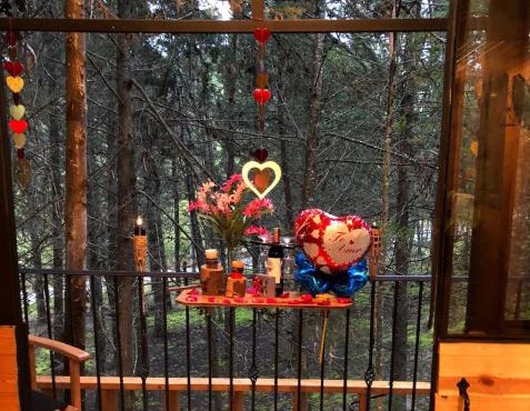 Despierta En El Árbol Desayuno Americano a tu ritmo somos Petfriendly